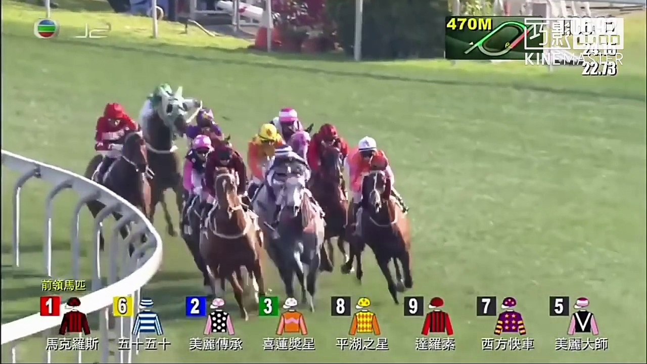 古惑練馬師告東尼回馬槍玩盡全港馬迷 老退馬突然回春甘神奇?
