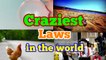 Top 10 craziest laws in the world, interesting laws in the world, amazing laws in the world by top interesting things