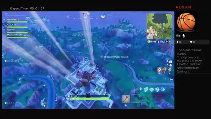 Fortnite with randoms (29)