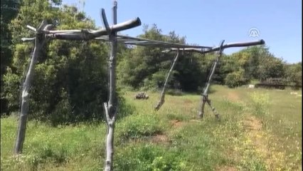 Afrin'de Terör Örgütünün "Eğitim Alanı" Bulundu