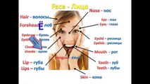 Russian lesson - Parts of the body