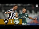 Botafogo 1 x 1 Palmeiras - Melhores Momentos (1º Tempo) Brasileirão 2018