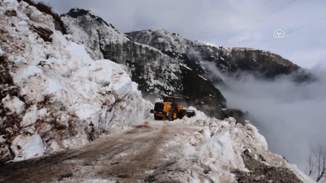 Borçka'da Yola Düşen Kar Kütlesi Ulaşımı Aksattı