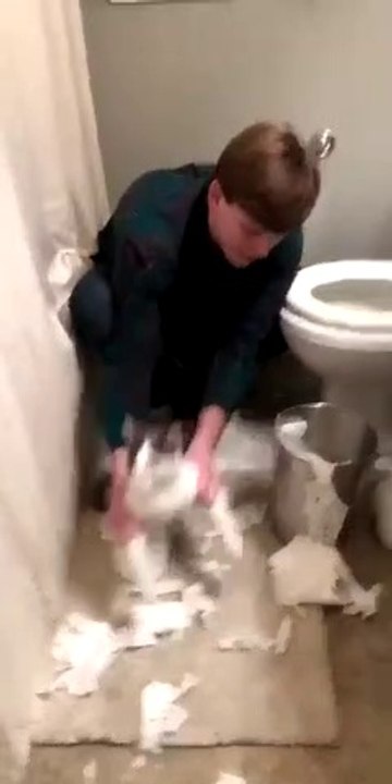 Ce chat qui a fait des bêtises est obligé de nettoyer. Trop drôle