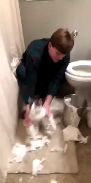 Ce chat qui a fait des bêtises est obligé de nettoyer. Trop drôle