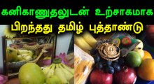 தமிழ் புத்தாண்டு உலகத்தமிழர்களால் கொண்டாட்டம்