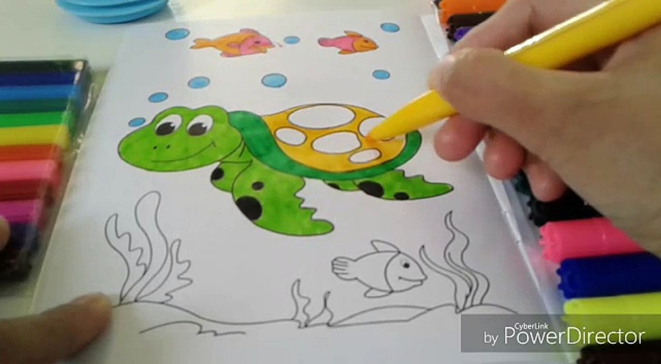RAINBOW TORTOISE COLORING VIDEO WITH GLITTER FOR KIDS.