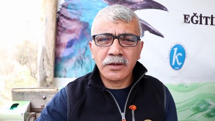 Tedavi edilen kerkenez doğaya bırakıldı - IĞDIR