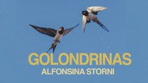 Golondrinas  - Alfonsina Storni 