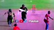 Best of Cricketers FIGHTING and ABUSING during Match!