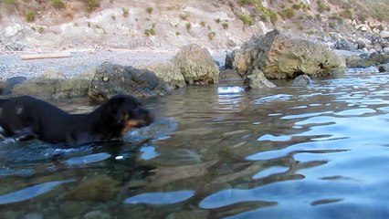 Brasida, primo bagno al mare