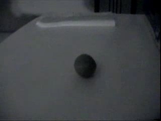 another saturday night fever