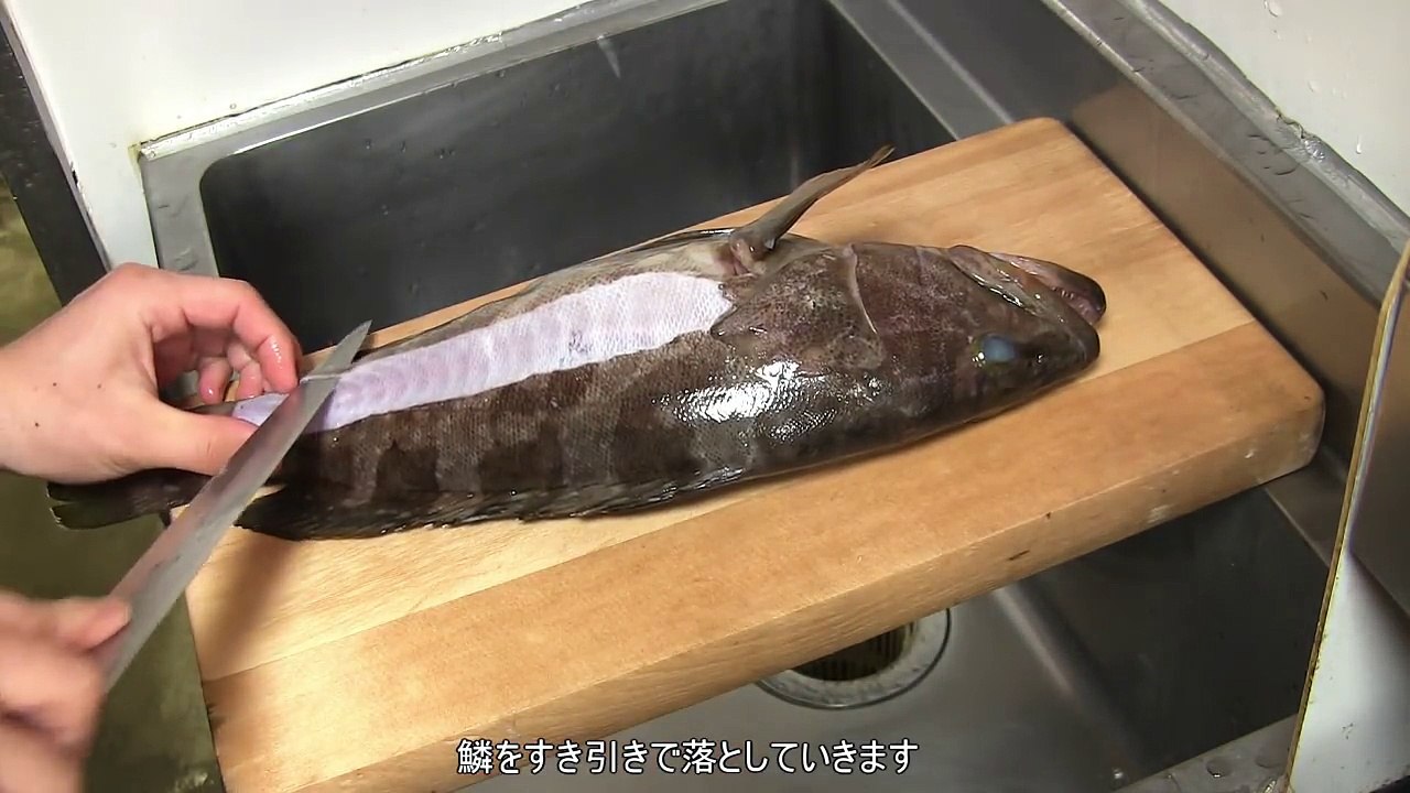 クエのさばき方～握りになるまでと潮汁の作り方 寿司屋の仕込み how to fillet a Longtooth Grouper  and make sushi