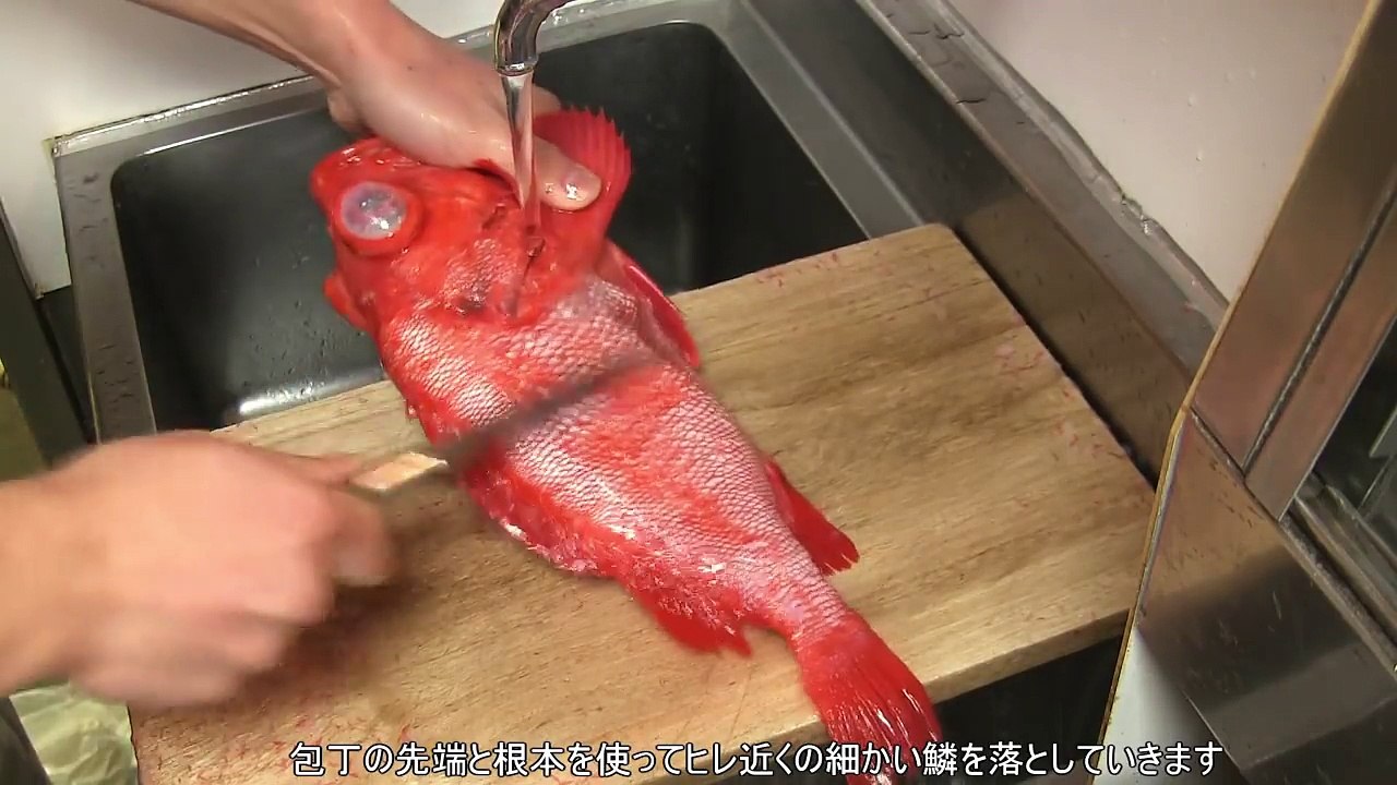 アコウダイのさばき方～握りになるまでとアクアパッツァの作り方　how to fillet a Rockfish and make sushi and acqua pazza