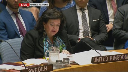 Syria strikes:UN Security Council meeting - United Kingdom