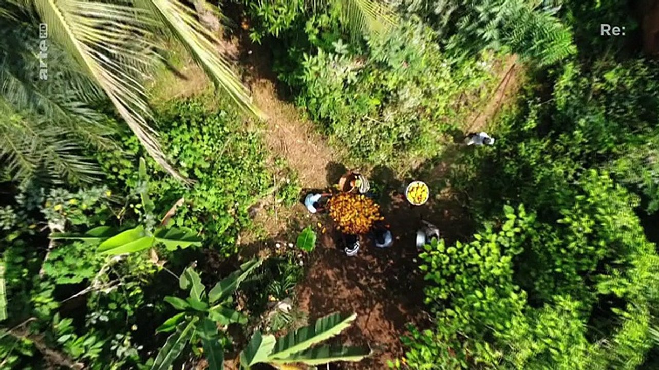 Schokolade ohne Reue?