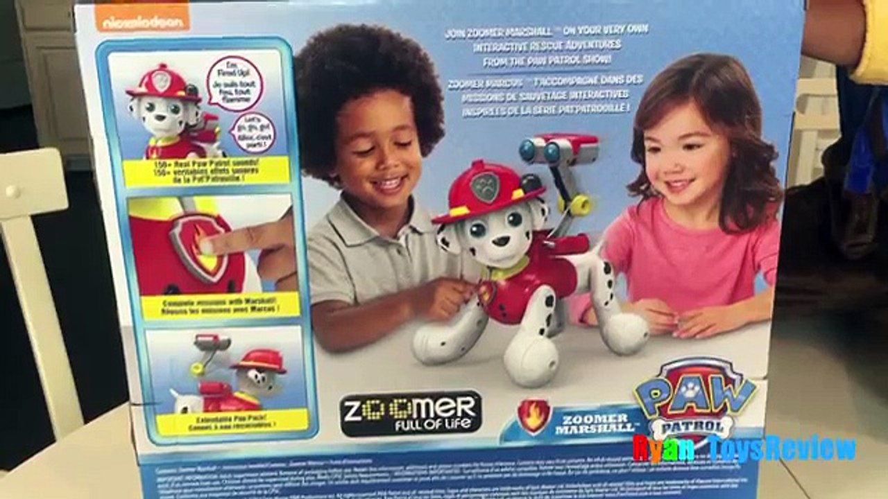 Paw patrol zoomer marshall hotsell