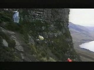 The Beta Band - Inner Meet Me