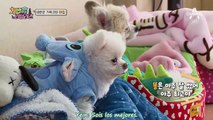 [Sub Esp] Lovelyz: The Man Who Feeds the Dog 2 - Ep. 02