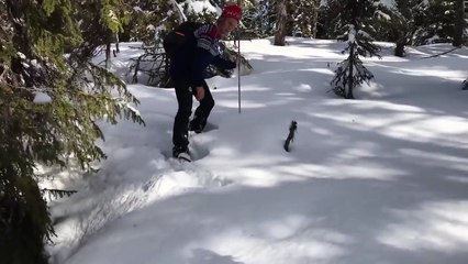 Guys Hiking Through The Snow Gets A Surprise From Nature