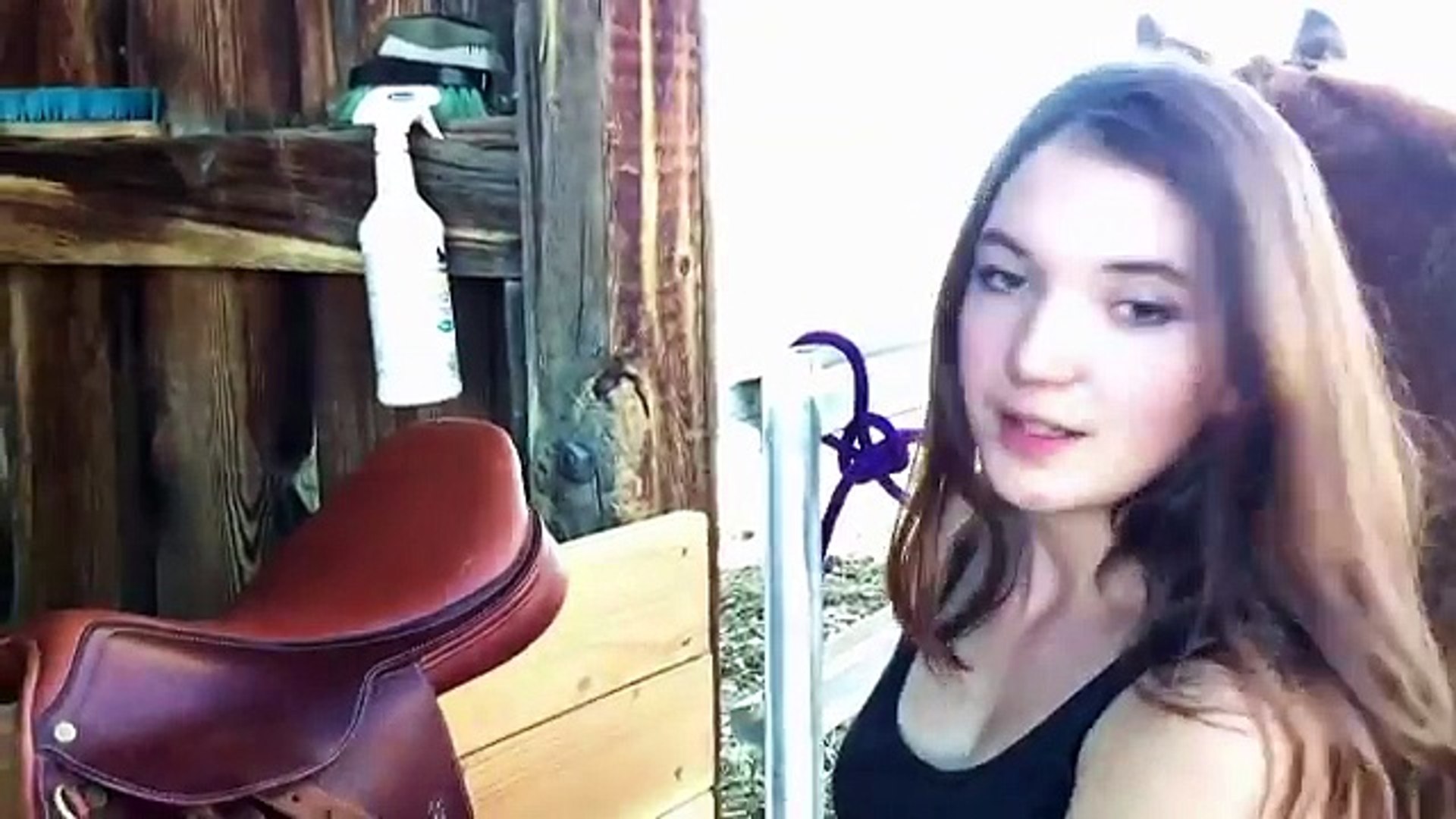 HOW TO TACK UP A HORSE ENGLISH STYLE