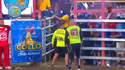 Pequeños Toreros 14 Abril 2018