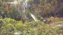 Turistas desalojados por el incendio del Parque Nacional Real de Sidney
