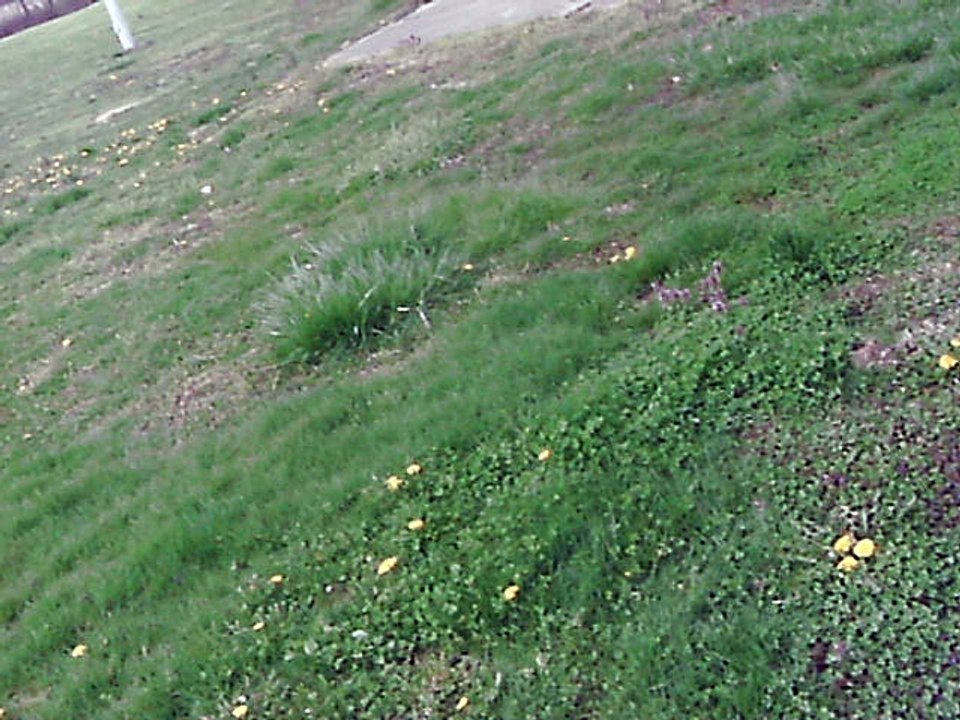April 14th 2018