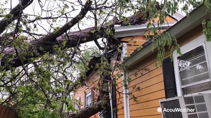 EF2 tornado rips through Mississippi town