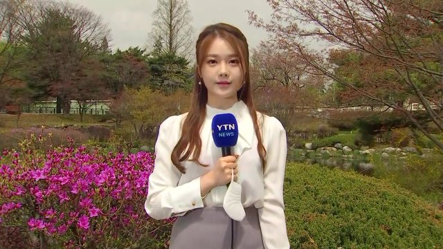 [날씨] 황사 관측, 미세먼지 '나쁨'...마스크 챙기세요 / YTN