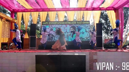 BLACK PANTHER BHANGRA GROUP TM ---- LIVE MODEL  PERFORMANCE