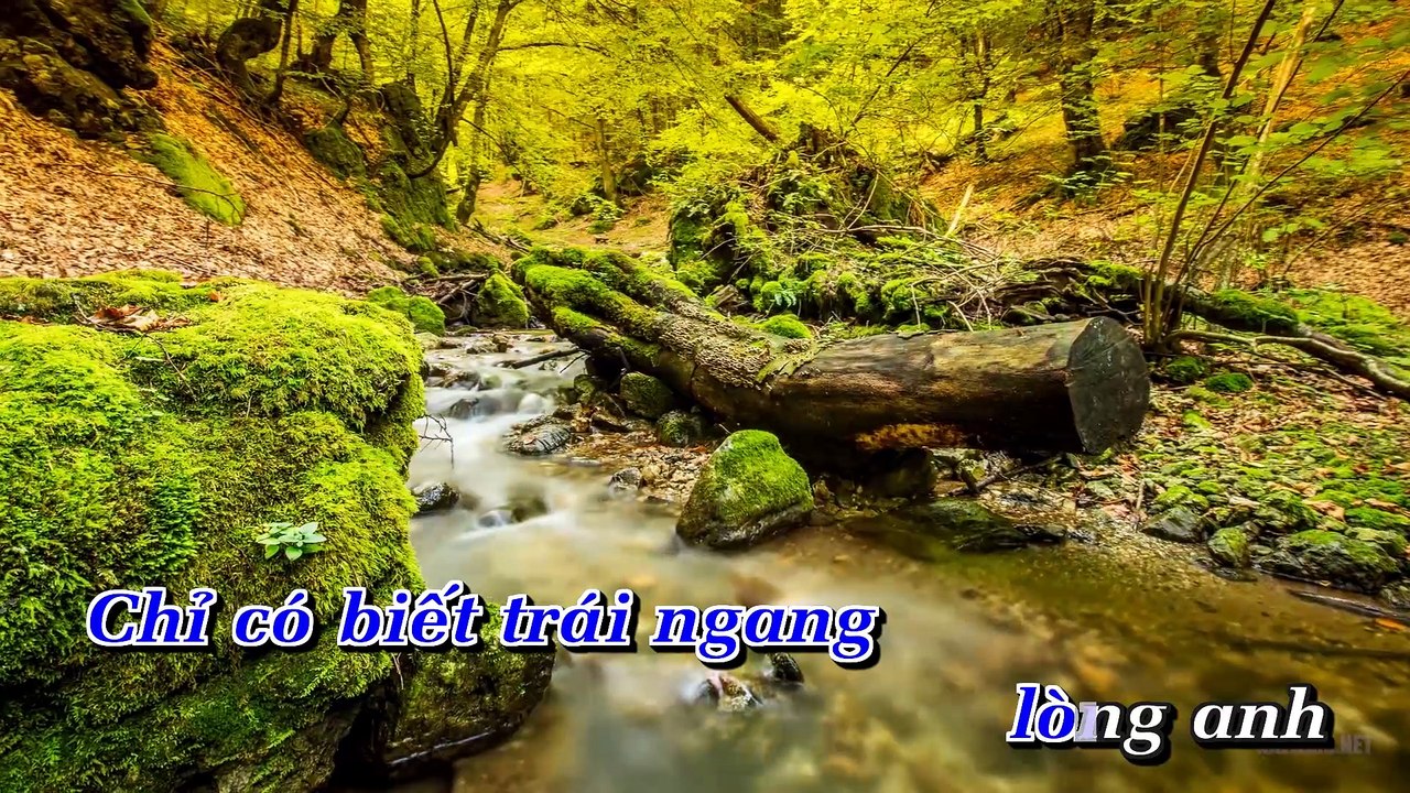 Sao Không Tin Lời Anh - Quách Tuấn Du