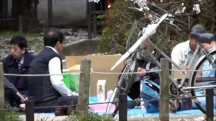 CHERRY BLOSSOM FESTIVAL - JAPAN TRIP