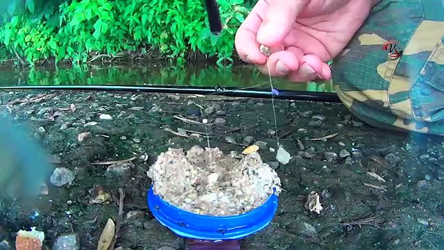 Подводные съемки ловли на Пробку, рыбалка онлайн. Ловля карася. fishing