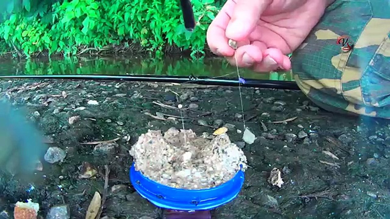 Подводные съемки ловли на Пробку, рыбалка онлайн. Ловля карася. fishing