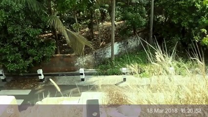 Ghost Black Shadow Captured On Mobile Near The Drainage!! Real Spirit Video Caught!!