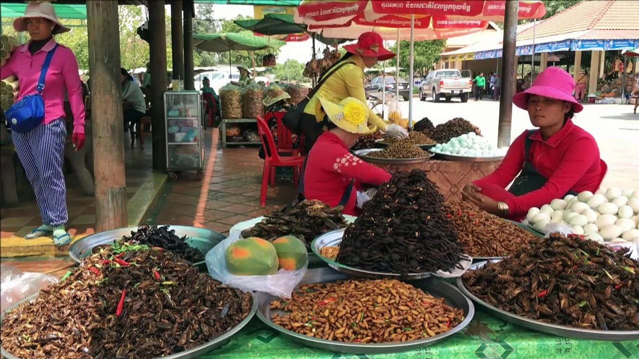 Angeblich köstlich: frittierte tarantel