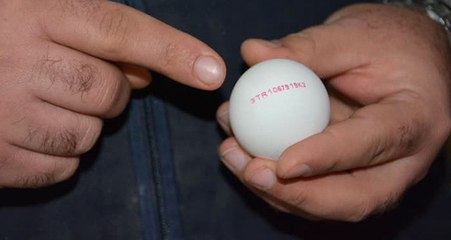 Yumurtaların Üzerine Artık Yetiştirme Metodu Yazılacak