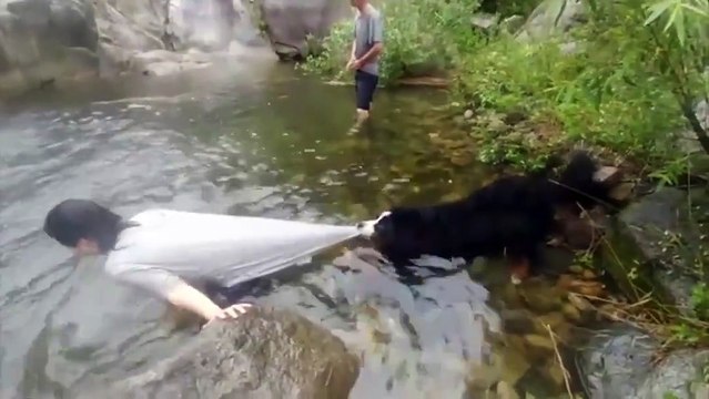 Son chien ne veut pas le laisser se baigner... Trop mignon