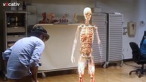Holograms for Medical Students - instead of cadavers