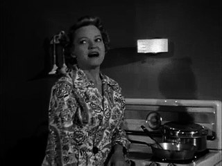 Highway Patrol S01E03 Reckless Driving