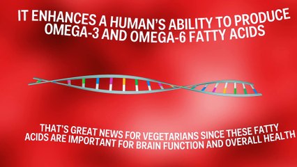 How a vegetarian diet changes human genes
