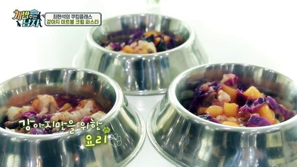 강아지를 위한 탕수육&파스타가 있다?! 이런 견생은 처음이라...