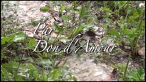 Par Don d'Amour -extrait