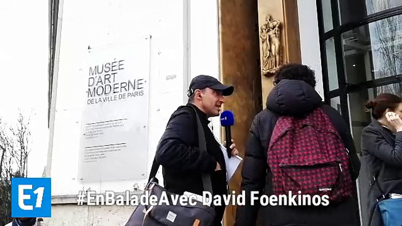 David Foenkinos : "On peut se sauver, s’apaiser par la culture et la beauté"