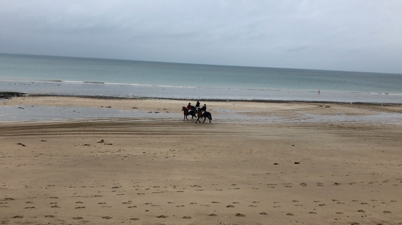 Épreuve saut d’obstacles, catégorie A1