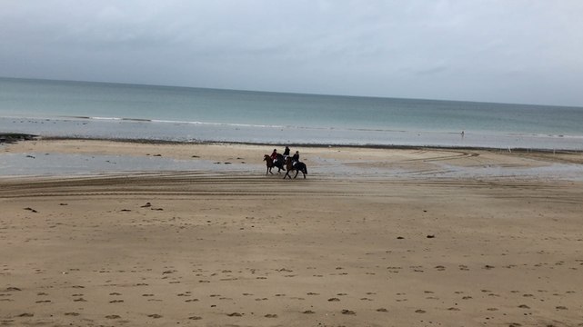 Épreuve saut d’obstacles, catégorie A1
