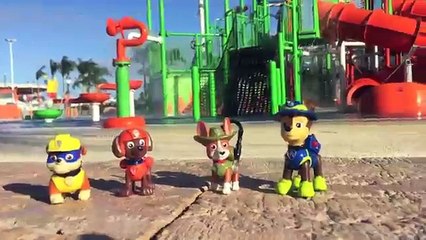 Paw Patrol Pup Dive-Off at the water park at Nickelodeon Resort - Punta Cana