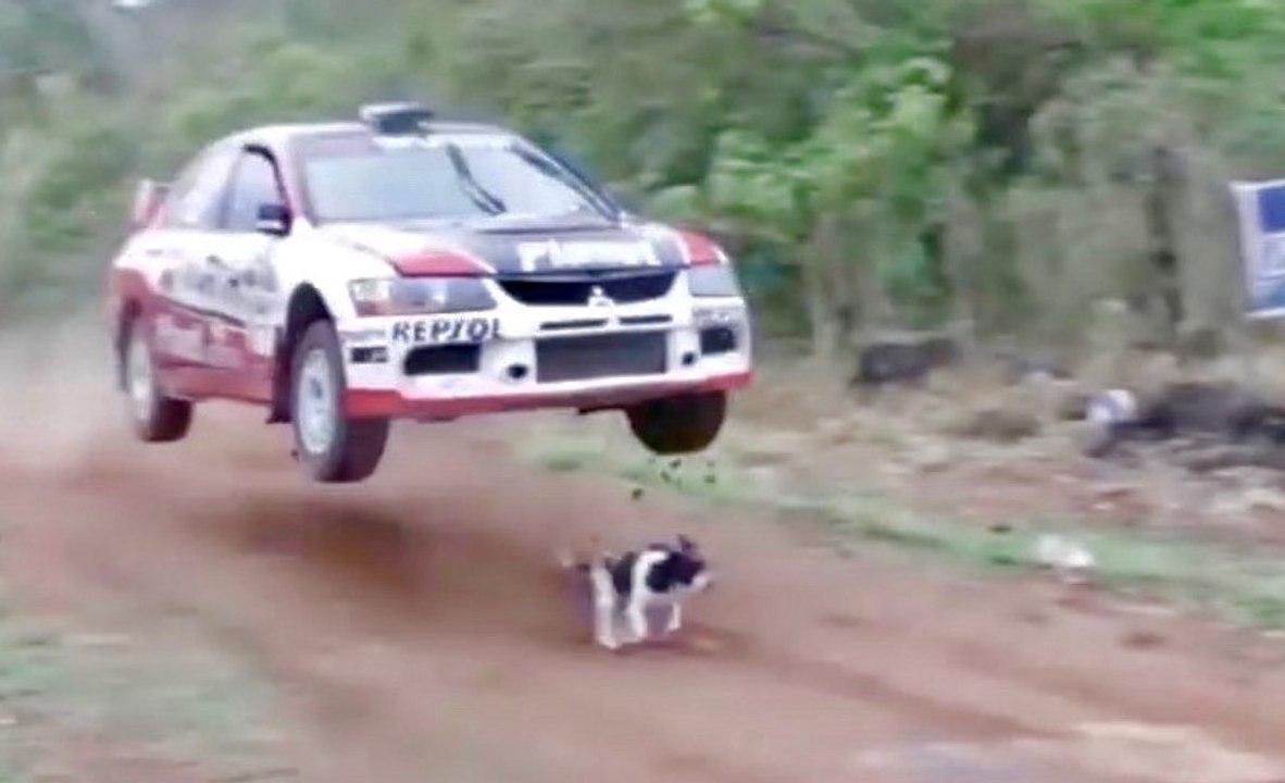 MAN AND BEAST Compilation - PART 52