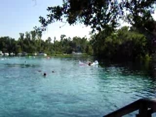 Silver glen spring 017